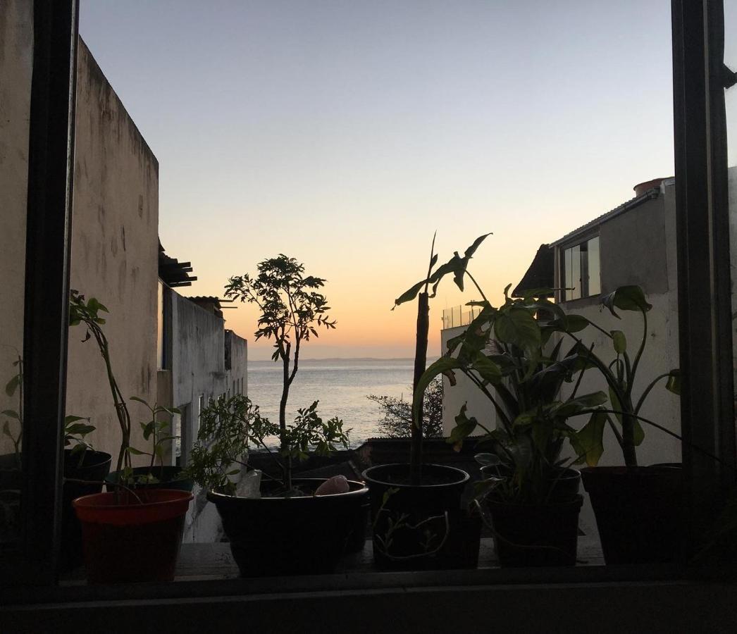 Casamarelo Hostel サルバドール エクステリア 写真