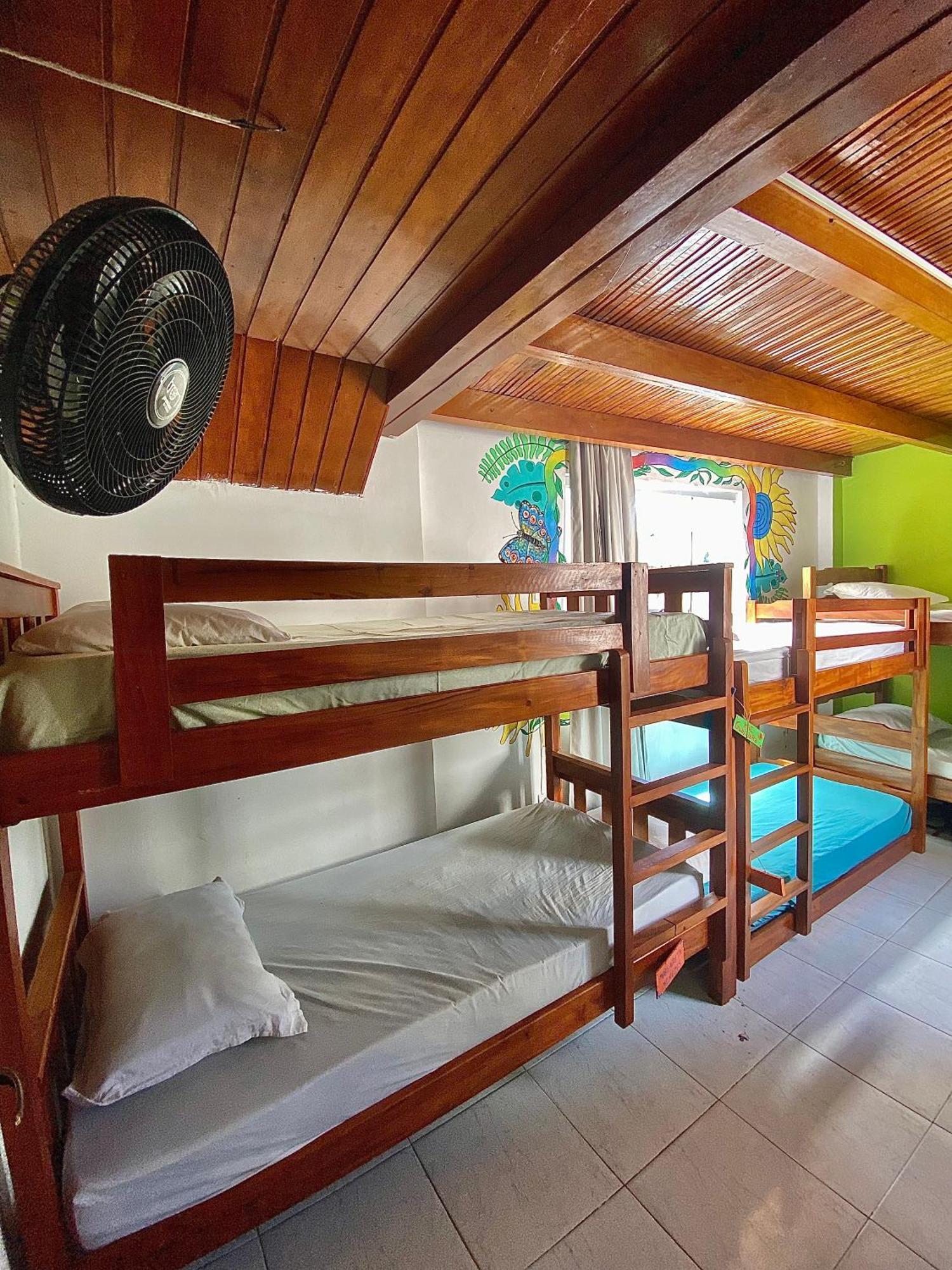 Casamarelo Hostel サルバドール エクステリア 写真